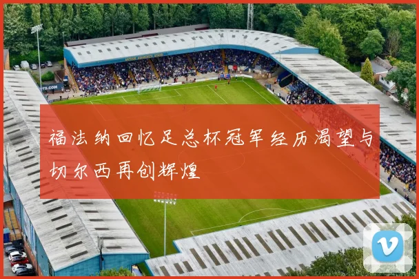 福法纳回忆足总杯冠军经历渴望与切尔西再创辉煌